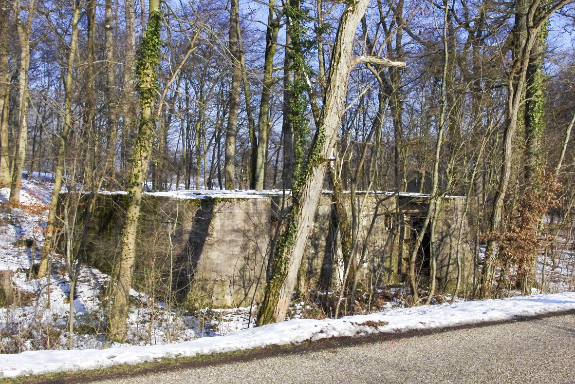 Ligne Maginot - INGWILLER - BANHOLZ - (Abri) - Le blockhaus au bord de la D56 - STENGER Mathieu