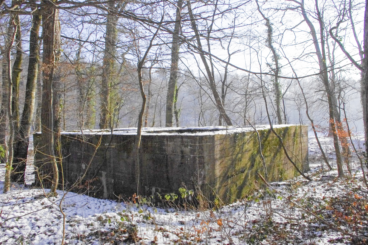 Ligne Maginot - INGWILLER - BANHOLZ - (Abri) -  - STENGER Mathieu