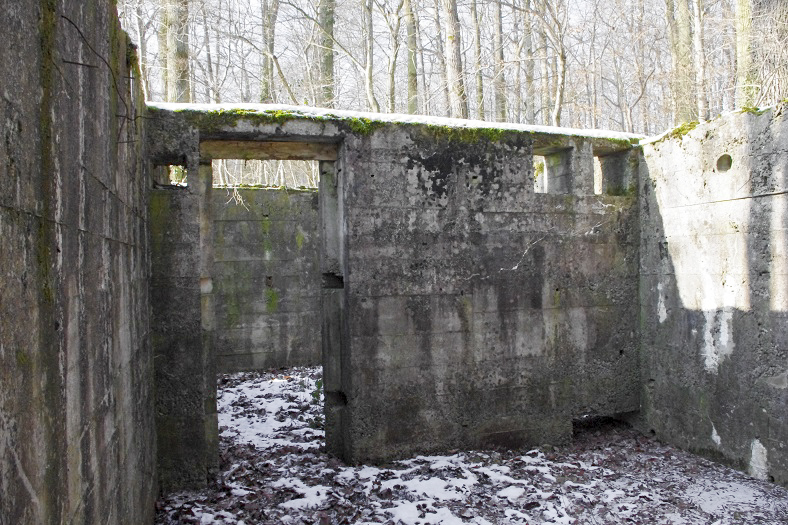 Ligne Maginot - INGWILLER - BANHOLZ - (Abri) -  - STENGER Mathieu
