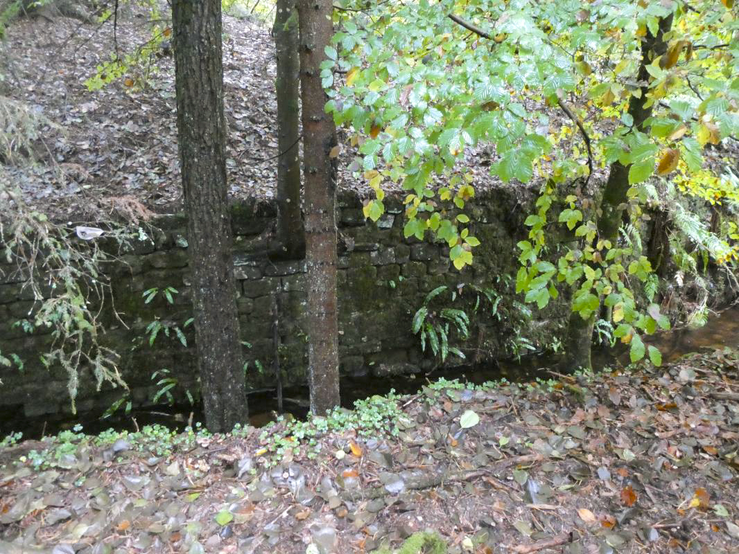 Ligne Maginot - WOLFSREDGEN ( FOSSE ANTICHARS ) - (Obstacle antichar) -  - ELLENA - CUNY