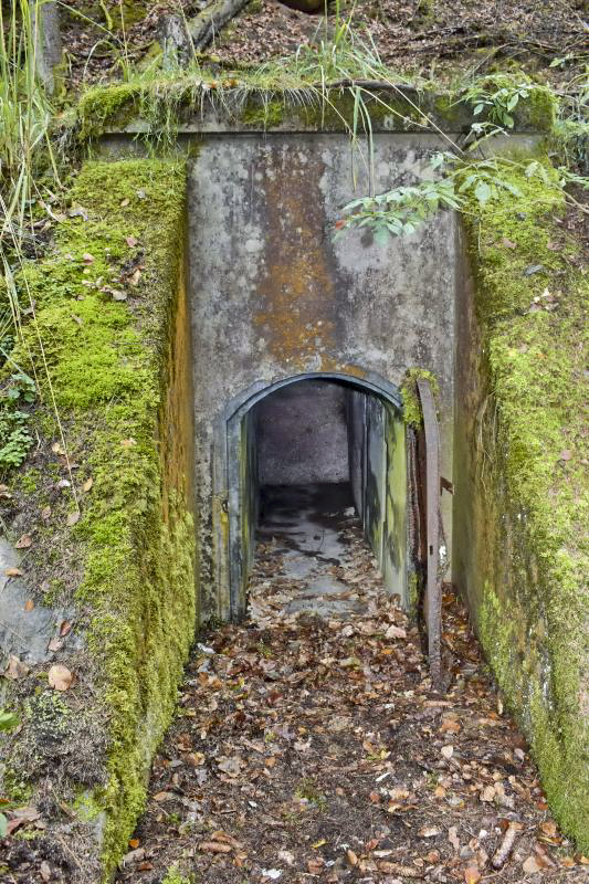 Ligne Maginot - 2Q2 - ERBSENBERG - (DMP - Dispositif de Mine Permanent) - Entrée du fourneaux de mine - Daniel Froehly