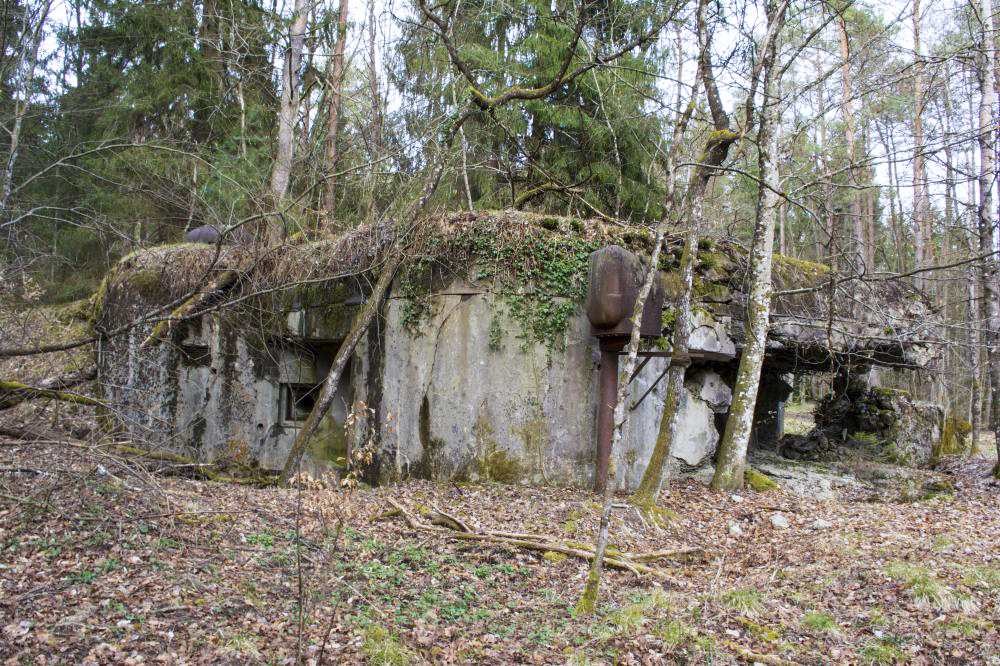 Ligne Maginot - ALTZINSEL - (Casemate d'infanterie - Double) -  - Rémy RICHTER