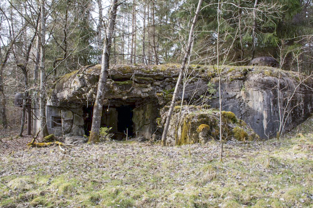 Ligne Maginot - ALTZINSEL - (Casemate d'infanterie - Double) -  - Rémy RICHTER