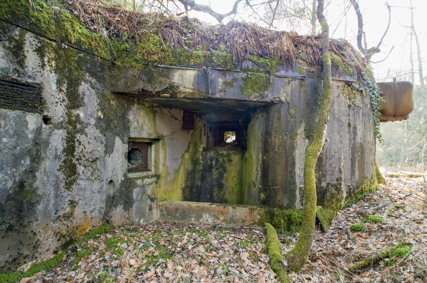 Ligne Maginot - ALTZINSEL - (Casemate d'infanterie - Double) -  - Lia VERMEULEN
