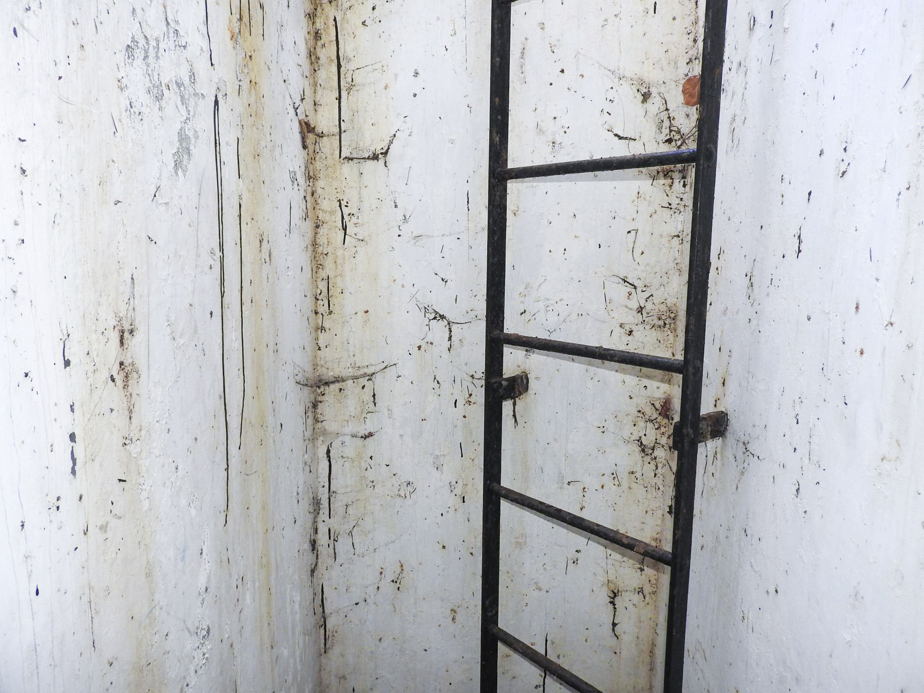 Ligne Maginot - C3 - (Chambre de coupure) -  - STENGER Mathieu