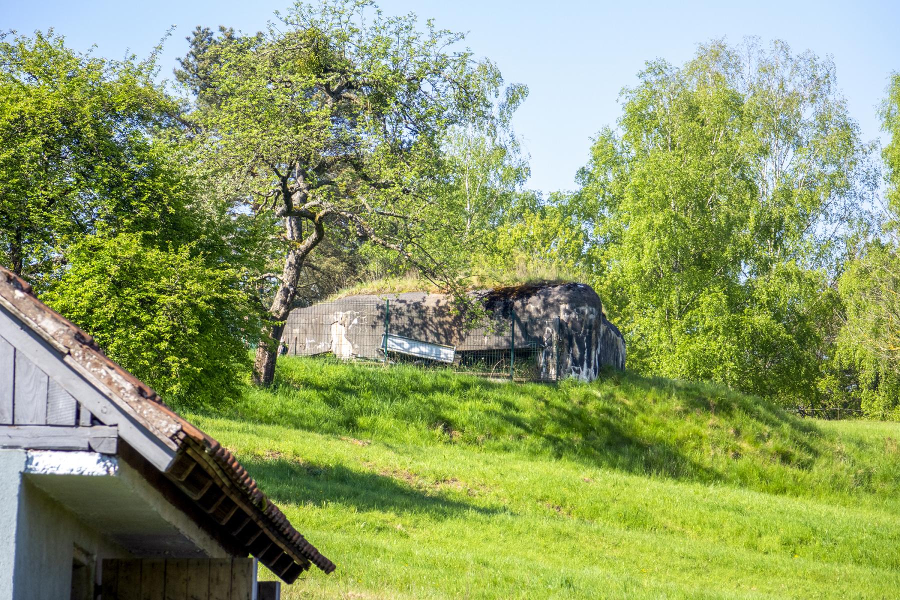 Ligne Maginot - DAMBACH - LA CHAPELLE SUD - (Blockhaus pour canon) -  - Lia VERMEULEN
