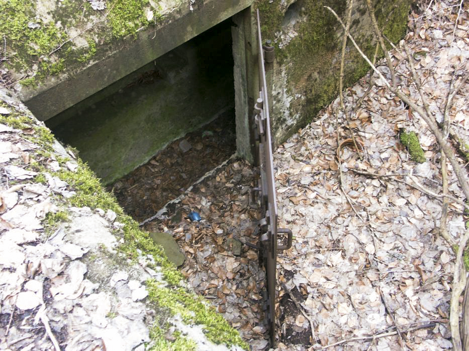 Ligne Maginot - DACHSECK 1 (Blockhaus pour canon) - Entrée du canon antichar - Pascal LAMBERT