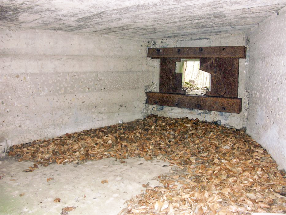 Ligne Maginot - DACHSECK 1 (Blockhaus pour canon) - Créneau du canon antichar - Pascal LAMBERT