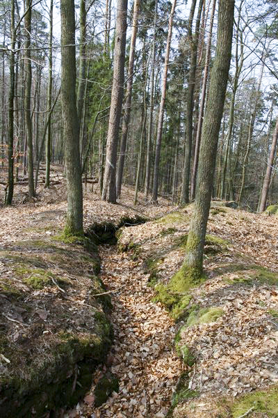 Ligne Maginot - Observatoire de la Main du Prince -  - GRUBER Franck