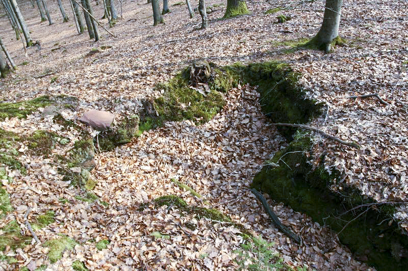 Ligne Maginot - Observatoire de la Main du Prince -  - GRUBER Franck