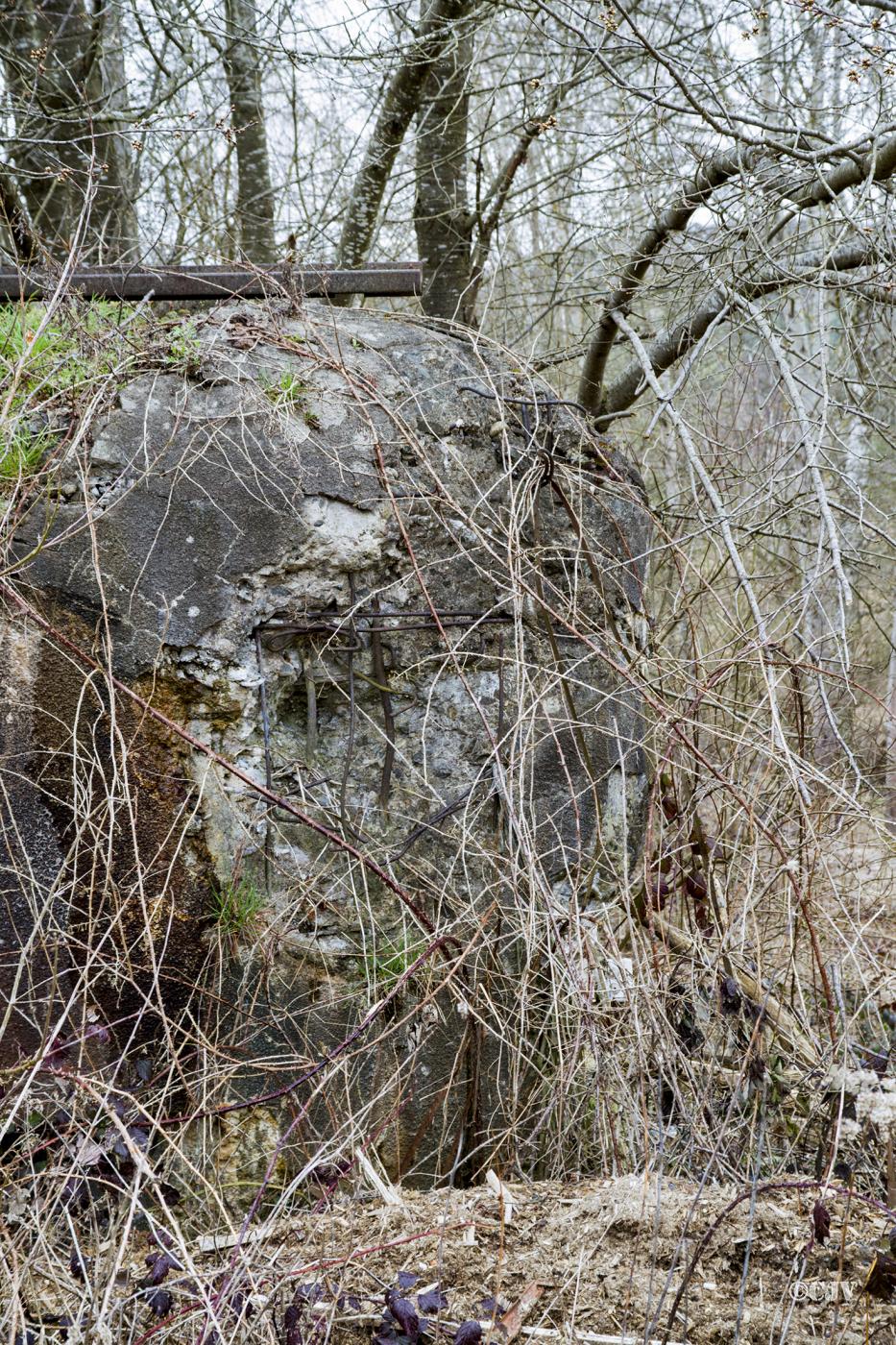 Ligne Maginot - DAMBACH SCIERIE - (Blockhaus pour arme infanterie) -  - Lia VERMEULEN