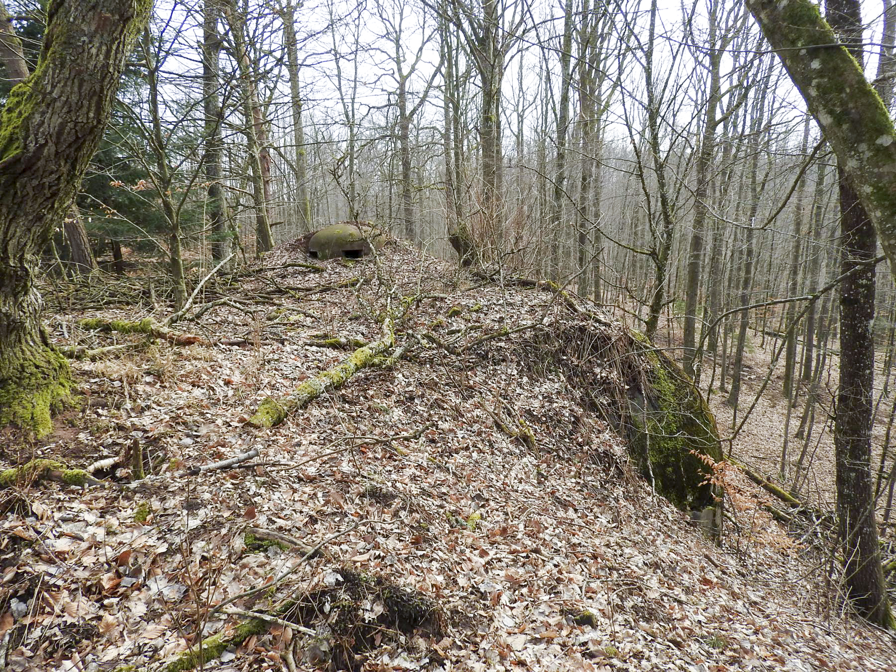 Ligne Maginot - DEPOT - (Abri) - Le coffre Est - STENGER Mathieu