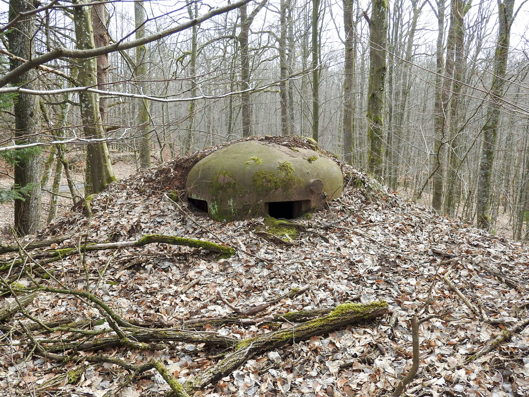 Ligne Maginot - DEPOT - (Abri) - La cloche GFM Est - STENGER Mathieu