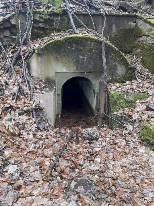 Ligne Maginot - DEPOT - (Abri) -  - Guillaume
