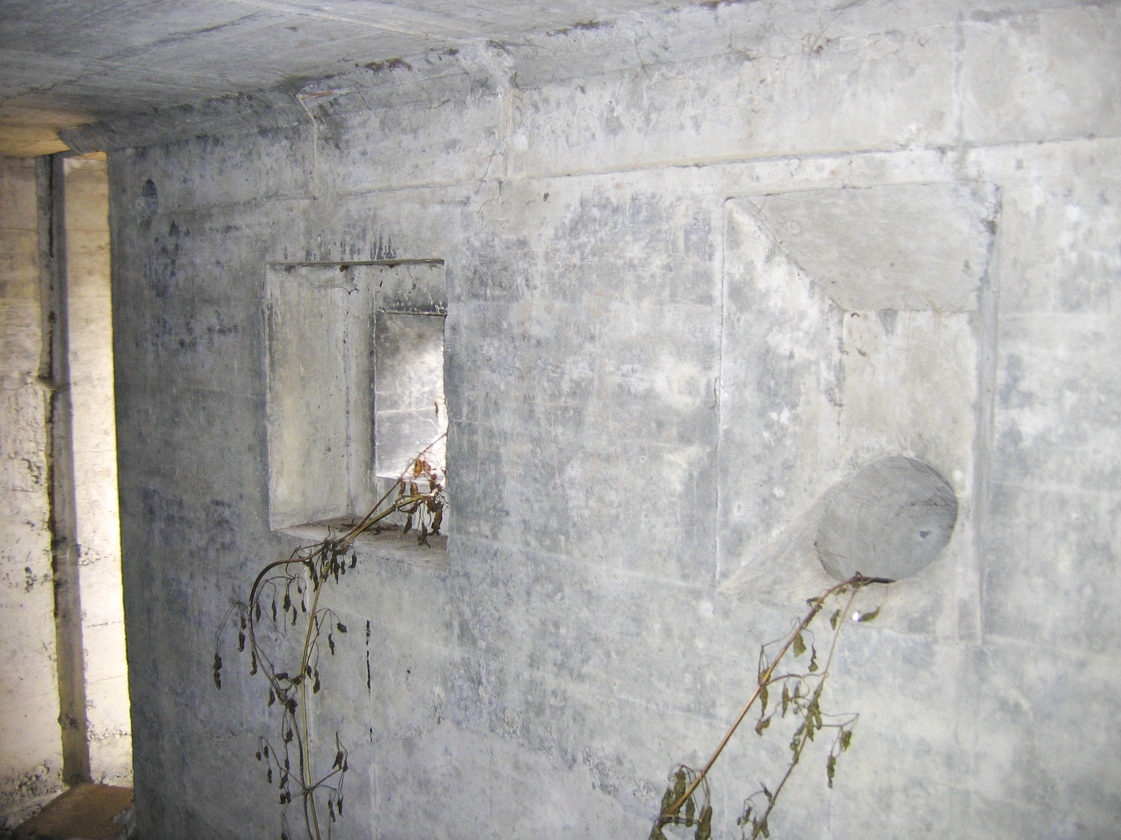 Ligne Maginot - HILGEN OUEST - (Blockhaus pour arme infanterie) -  - A. SCHOEN