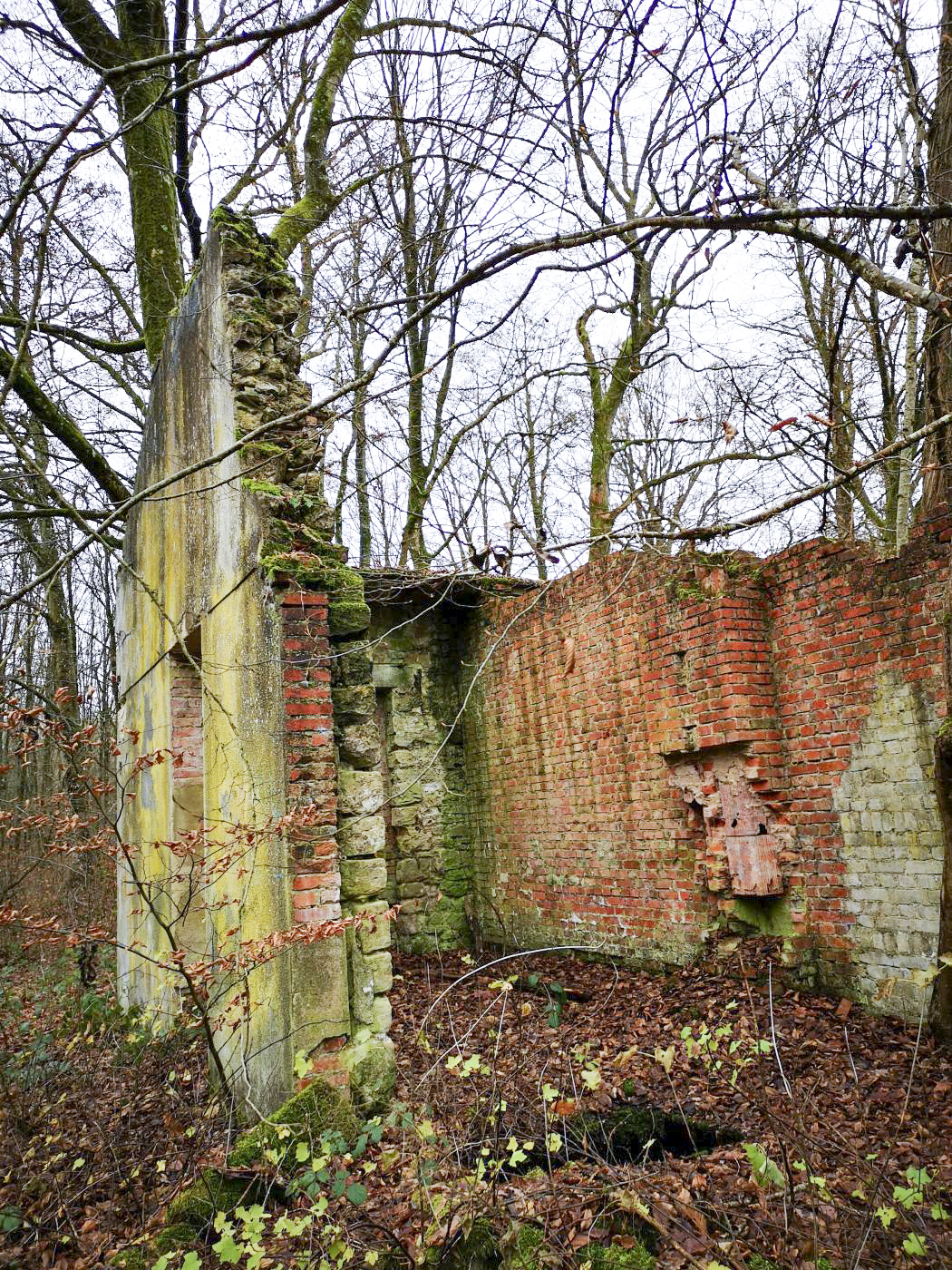 Ligne Maginot - VIRMING - (Dépôt de Munitions) - Ruines de la maison de gardien / bâtiment administratif - DK_Antoine4