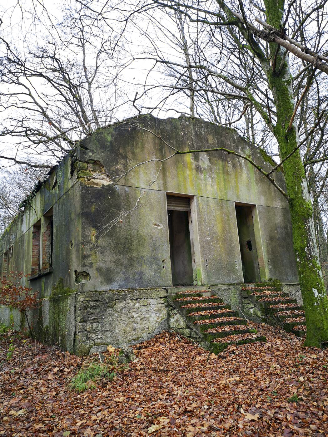 Ligne Maginot - VIRMING - (Dépôt de Munitions) - Bâtiment ayant probablement servi de casernement - DK_Antoine4