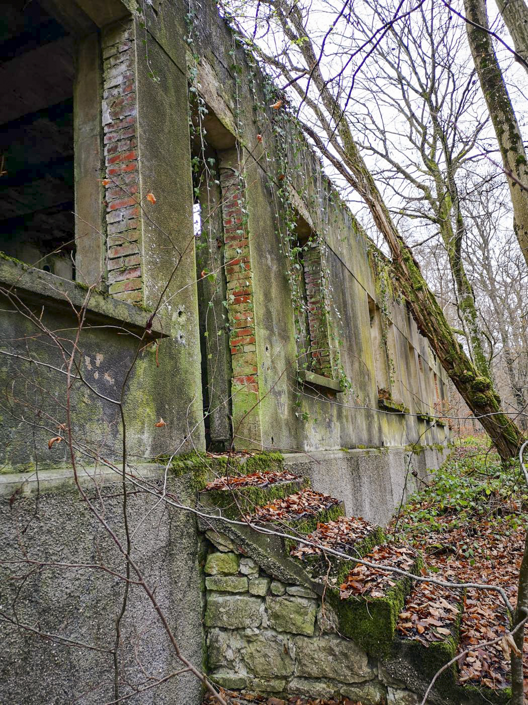 Ligne Maginot - VIRMING - (Dépôt de Munitions) - Bâtiment ayant probablement servi de casernement - DK_Antoine4