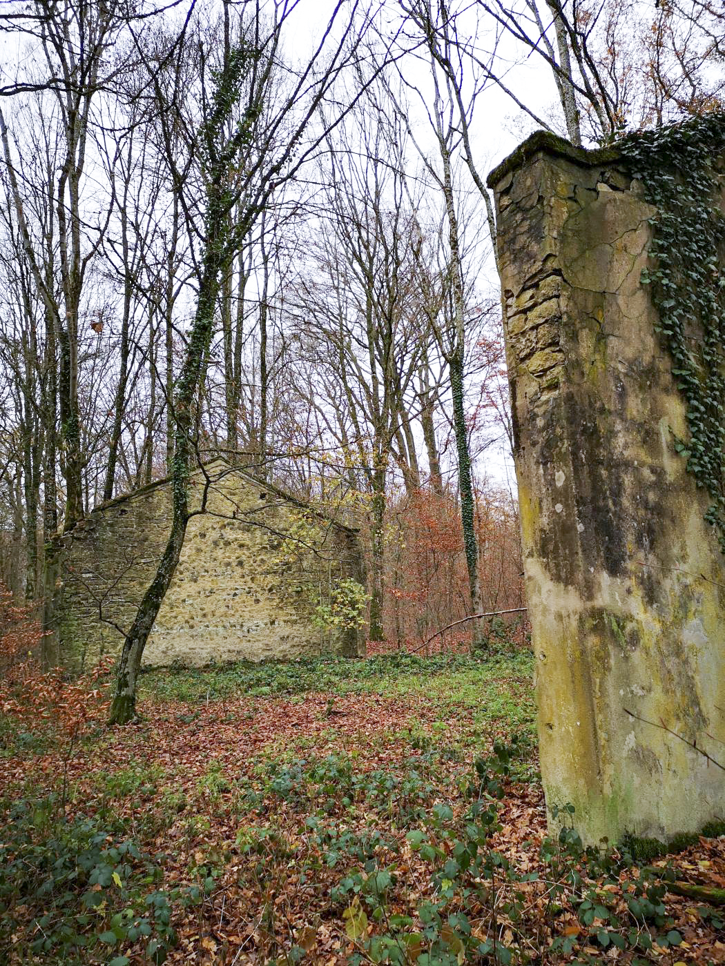 Ligne Maginot - VIRMING - (Dépôt de Munitions) - Murs de soutènements, vraisemblablement d'hangars métalliques ayant disparus - DK_Antoine4