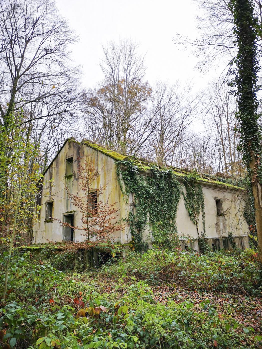 Ligne Maginot - VIRMING - (Dépôt de Munitions) - Bâtiment de stockage pour munitions légères, probablement indépendant de la période Maginot - DK_Antoine4