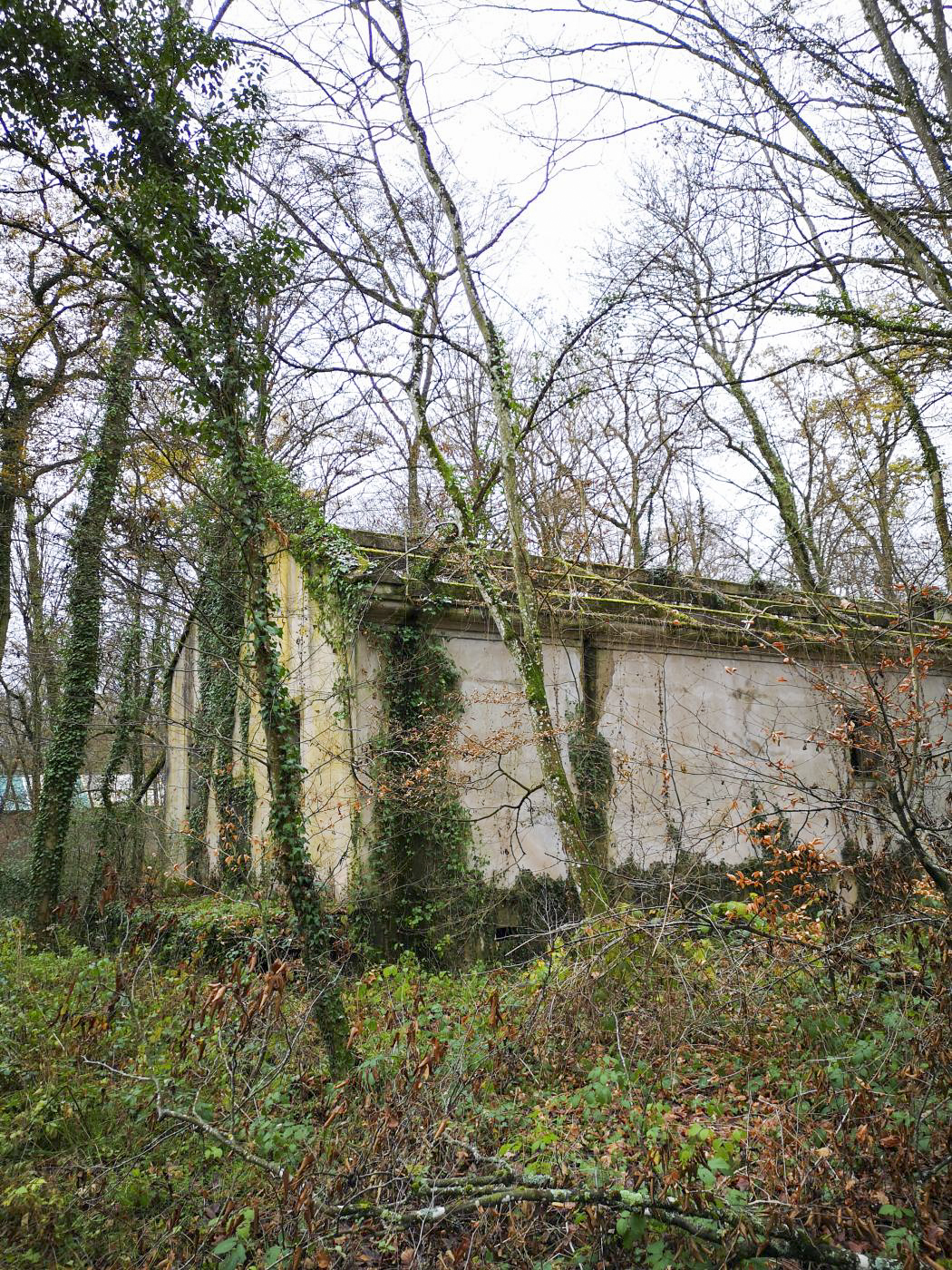 Ligne Maginot - VIRMING - (Dépôt de Munitions) - Bâtiment de stockage pour munitions légères, probablement indépendant de la période Maginot - DK_Antoine4
