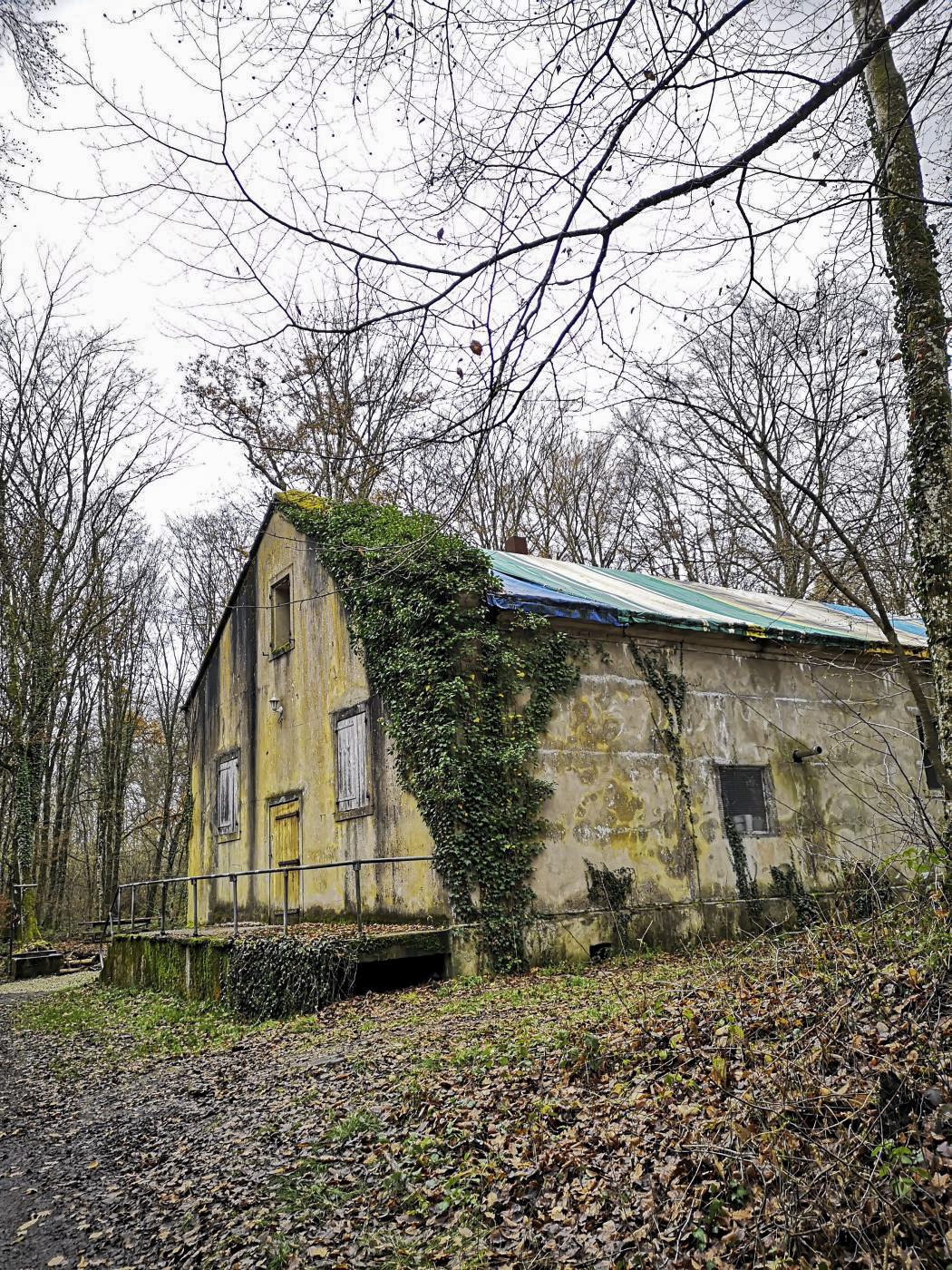 Ligne Maginot - VIRMING - (Dépôt de Munitions) - Un entrepôt de stockage est encore utilisé par un particulier - DK_Antoine4
