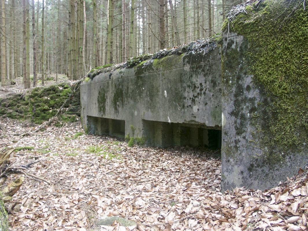 Ligne Maginot - ERBSENTHAL 1 - (Blockhaus pour arme infanterie) - Les deux créneaux pour mitrailleuses - LAMBERT Pascal