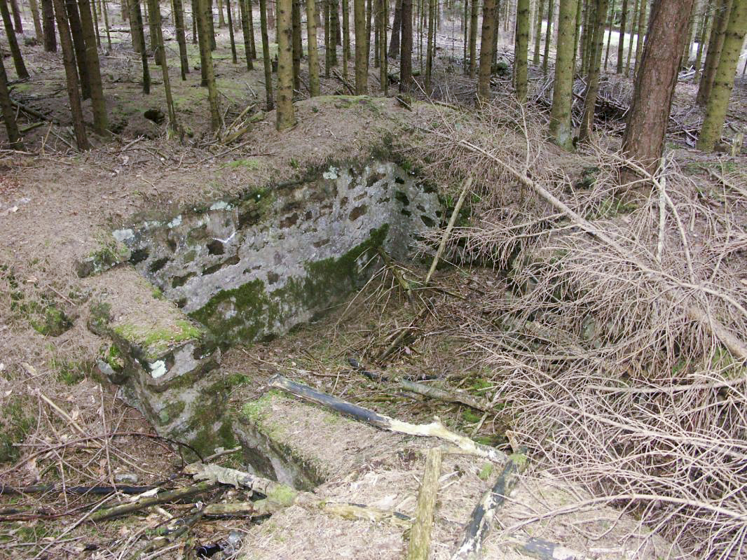 Ligne Maginot - ERBSENTHAL 2 - (Cuve pour arme d'infanterie) - Cuve maçonnée pour arme d'infanterie - LAMBERT Pascal