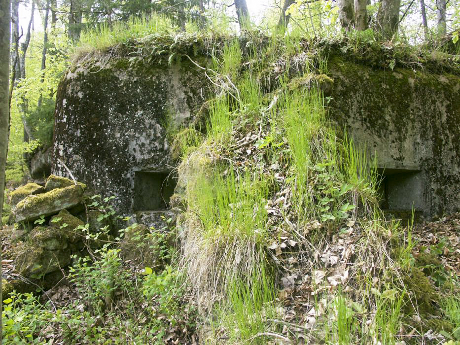 Ligne Maginot - ERLENMOOS Nord (Avant Poste) (Blockhaus pour arme infanterie) -  - Pascal LAMBERT