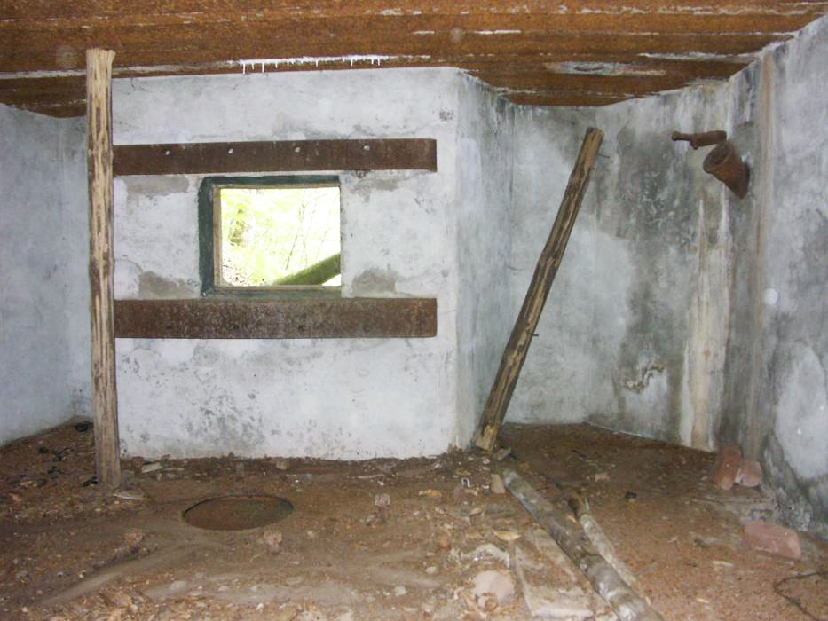 Ligne Maginot - ERLENMOOS Ouest (Avant Poste) (Blockhaus pour canon) -  - Pascal LAMBERT