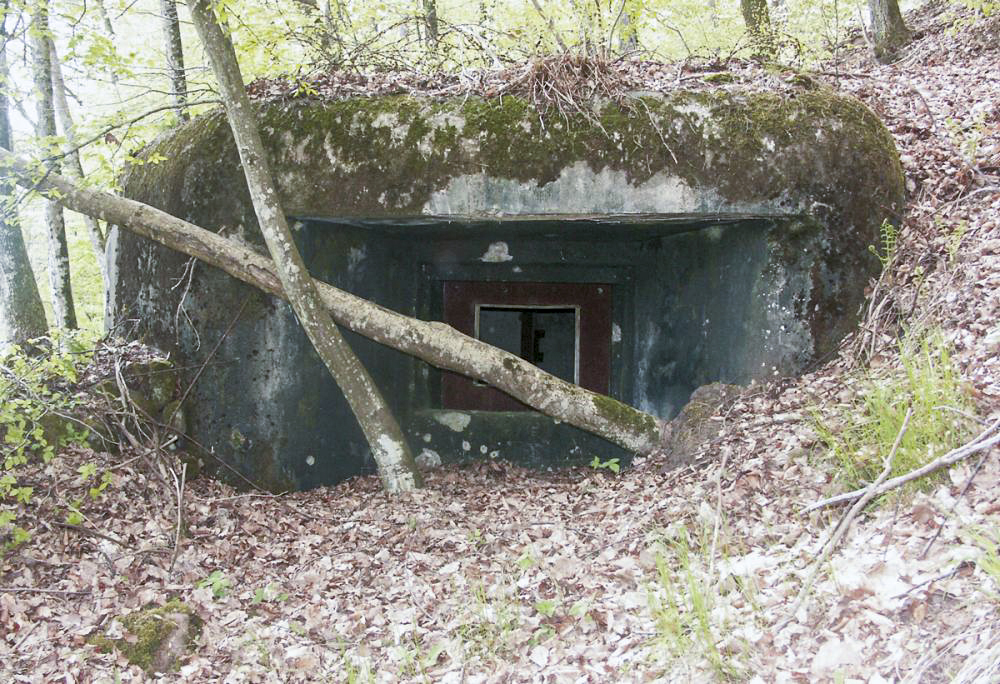 Ligne Maginot - ERLENMOOS Ouest (Avant Poste) (Blockhaus pour canon) -  - Pascal LAMBERT