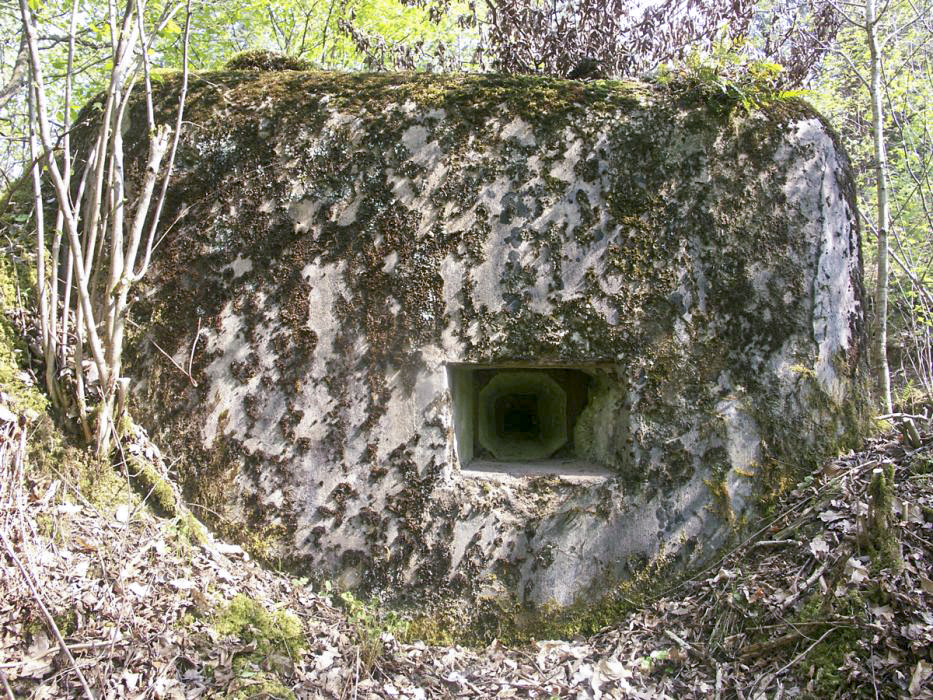 Ligne Maginot - ERLENMOOS EST (AVANT POSTE) - (Blockhaus pour arme infanterie) - Vue avant - Pascal LAMBERT