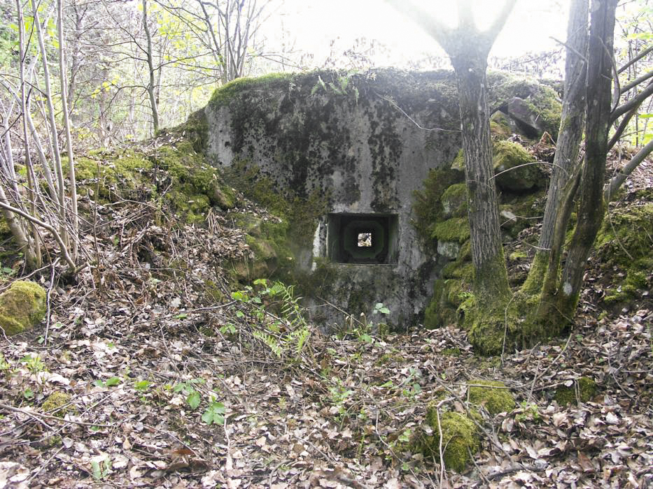 Ligne Maginot - ERLENMOOS EST (AVANT POSTE) - (Blockhaus pour arme infanterie) - Vue avant - Pascal LAMBERT
