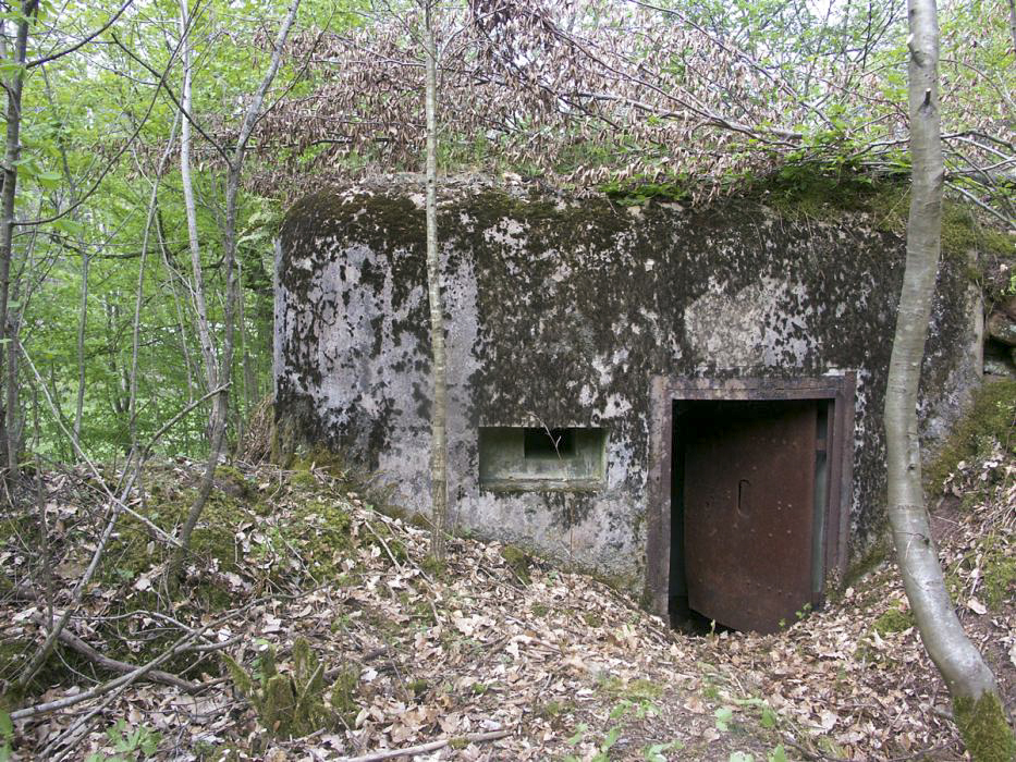 Ligne Maginot - ERLENMOOS EST (AVANT POSTE) - (Blockhaus pour arme infanterie) - L'entrée - Pascal LAMBERT