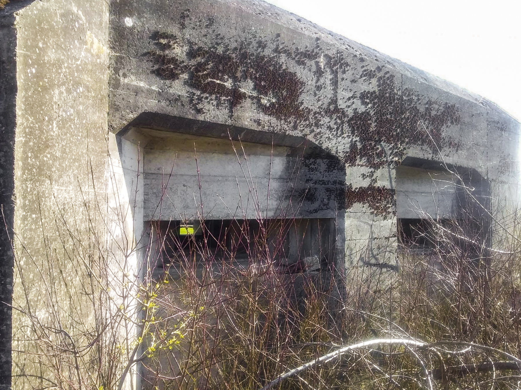 Ligne Maginot - HILGEN OUEST - (Blockhaus pour arme infanterie) -  - Joel Muntzinger