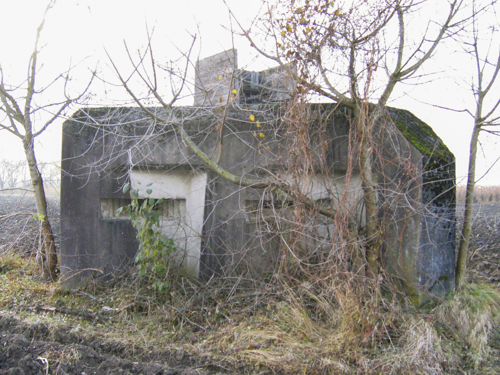 Ligne Maginot - HILGEN EST - (Blockhaus pour arme infanterie) -  - A. SCHOEN