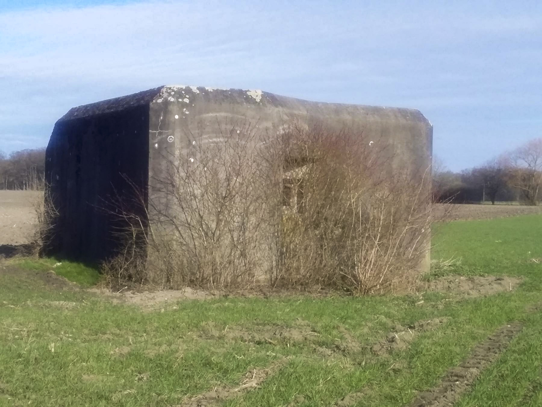 Ligne Maginot - HILGEN EST - (Blockhaus pour arme infanterie) -  - Joel Muntzinger