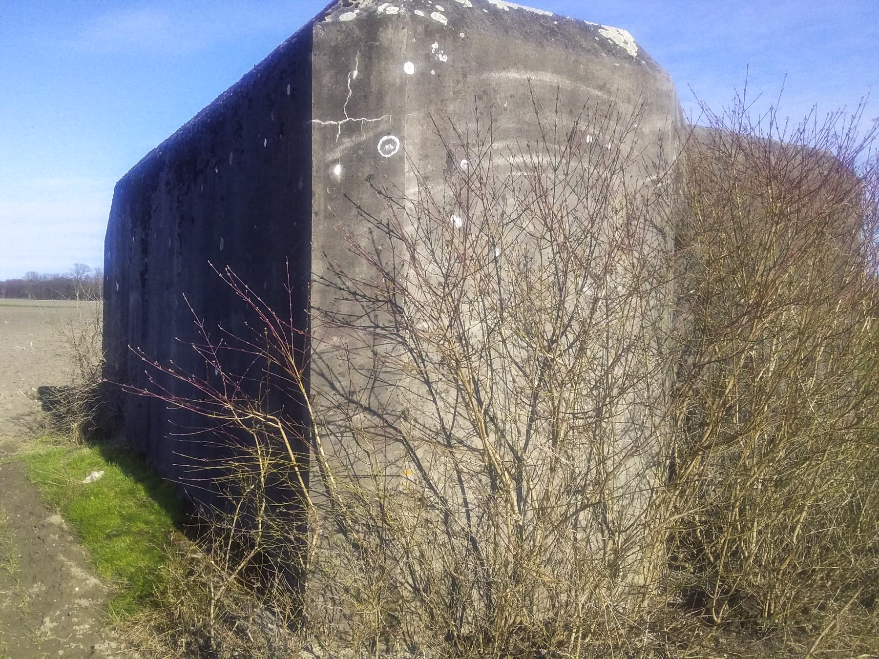 Ligne Maginot - HILGEN EST - (Blockhaus pour arme infanterie) -  - Joel Muntzinger