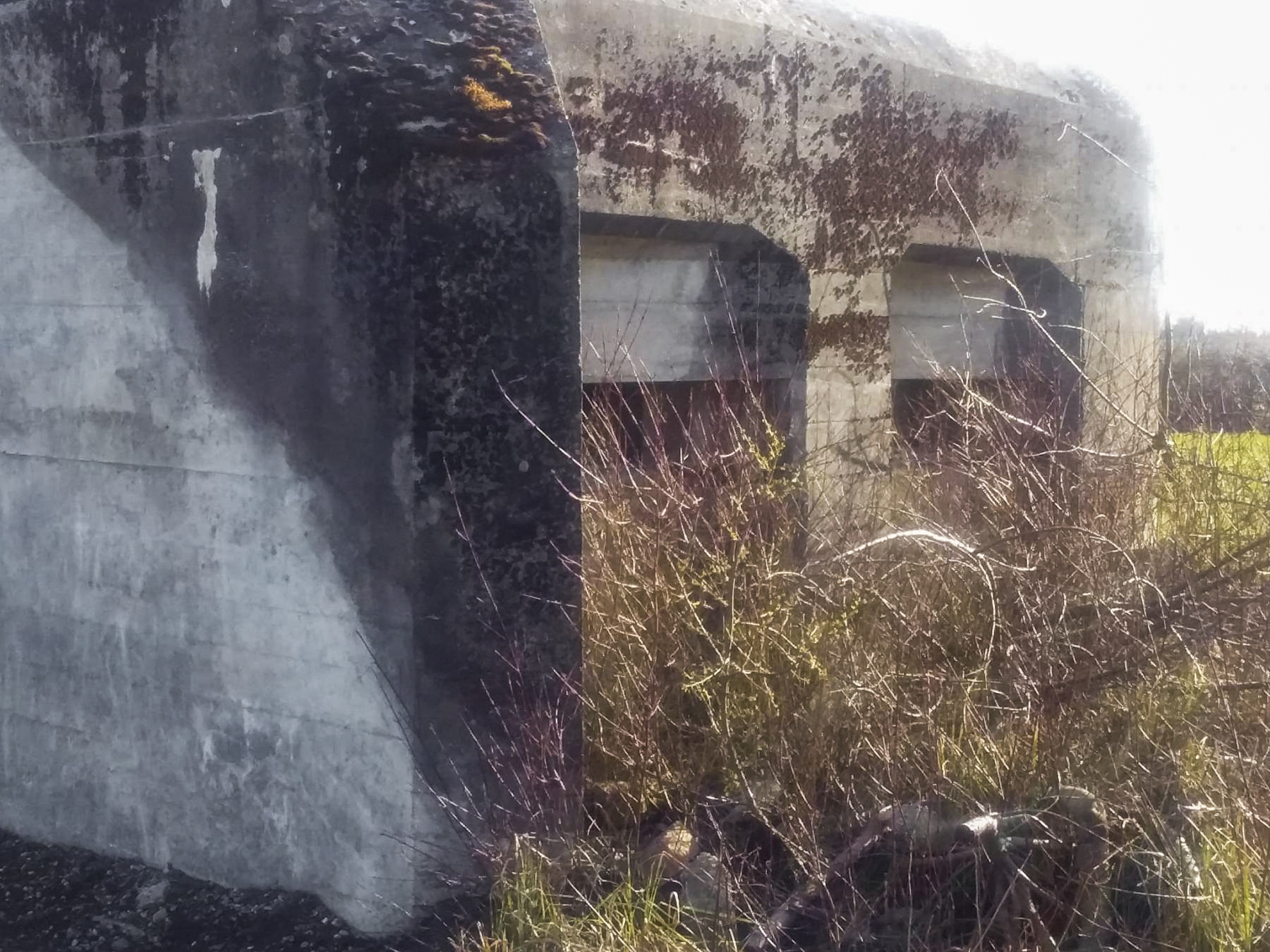Ligne Maginot - HILGEN EST - (Blockhaus pour arme infanterie) -  - Joel Muntzinger