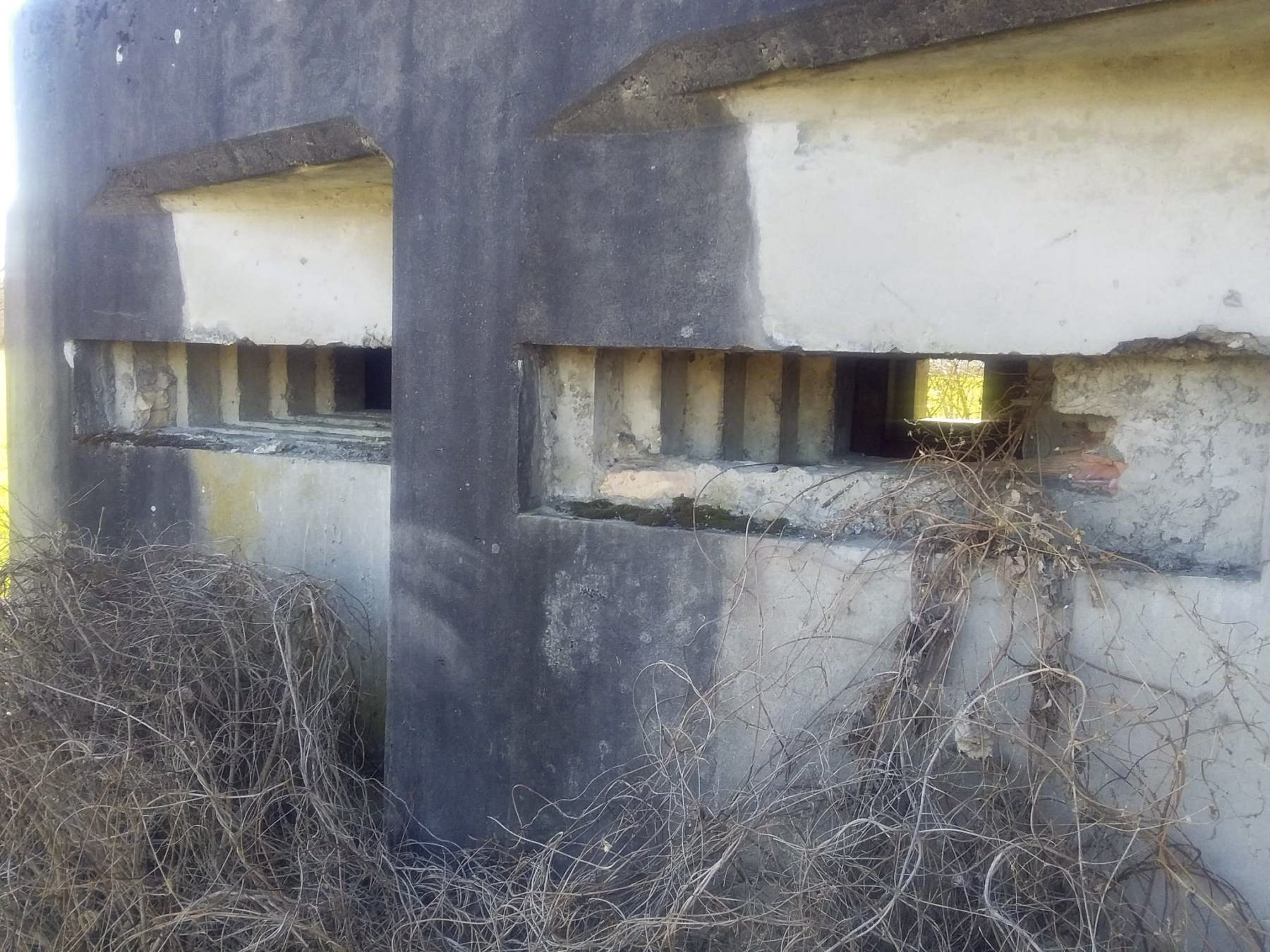 Ligne Maginot - HILGEN EST - (Blockhaus pour arme infanterie) -  - Joel Muntzinger