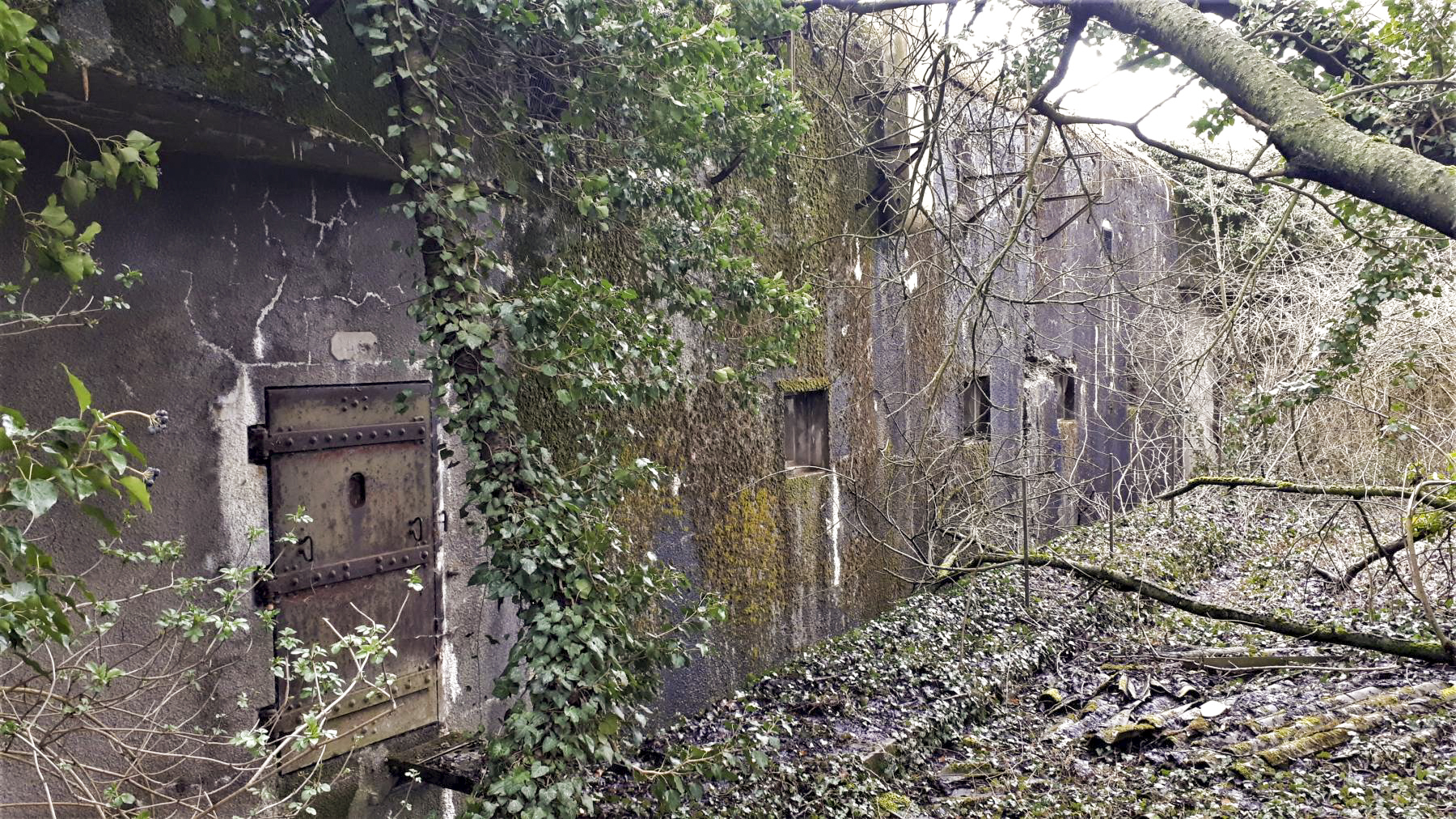 Ligne Maginot - BUCHHOLZBERG (I / 79° RIF) - (Abri) - L'entrée Ouest et la façade - Gregory Fuchs