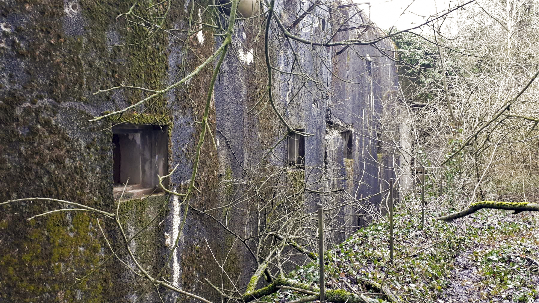 Ligne Maginot - BUCHHOLZBERG (I / 79° RIF) - (Abri) - Les créneaux FM de façade - Gregory Fuchs