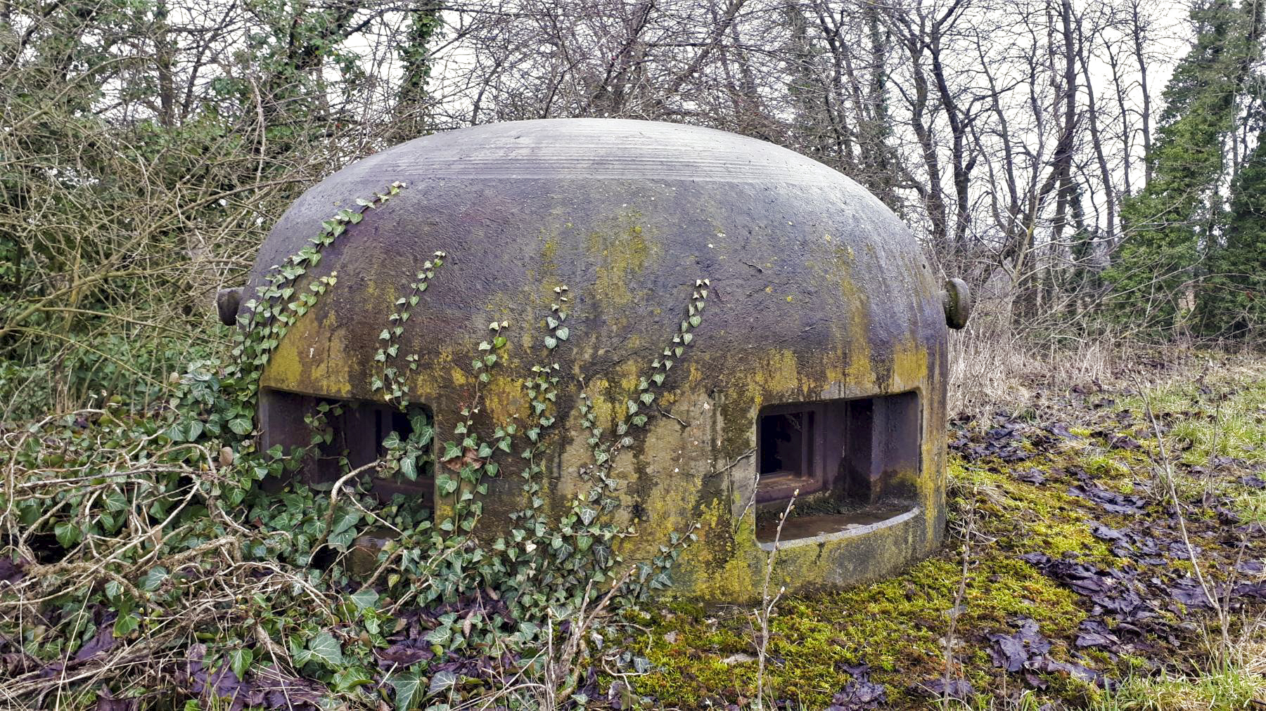 Ligne Maginot - BUCHHOLZBERG (I / 79° RIF) - (Abri) - La cloche GFM Est - Gregory Fuchs