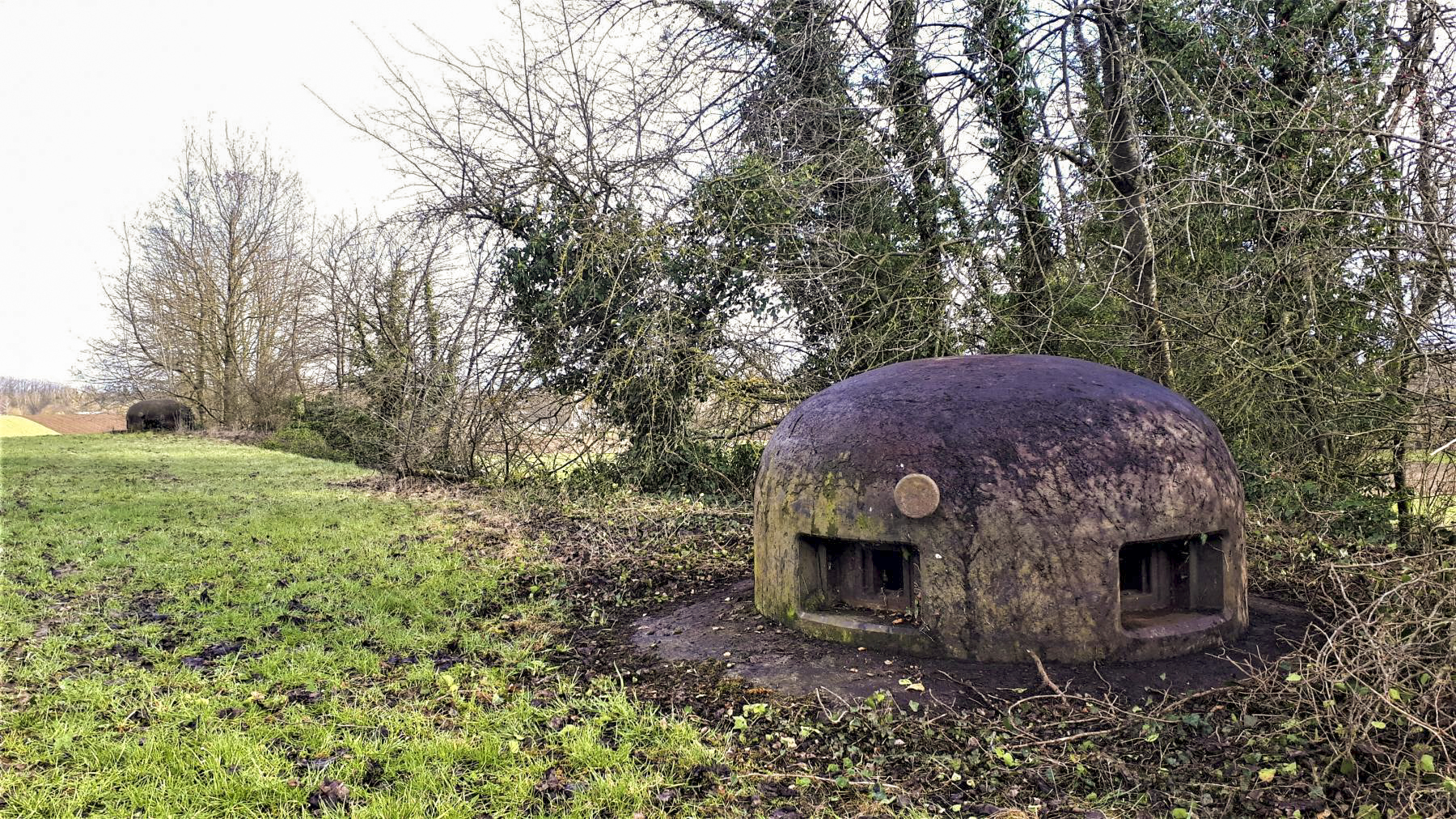 Ligne Maginot - BUCHHOLZBERG (I / 79° RIF) - (Abri) - La cloche GFM Ouest - Gregory Fuchs