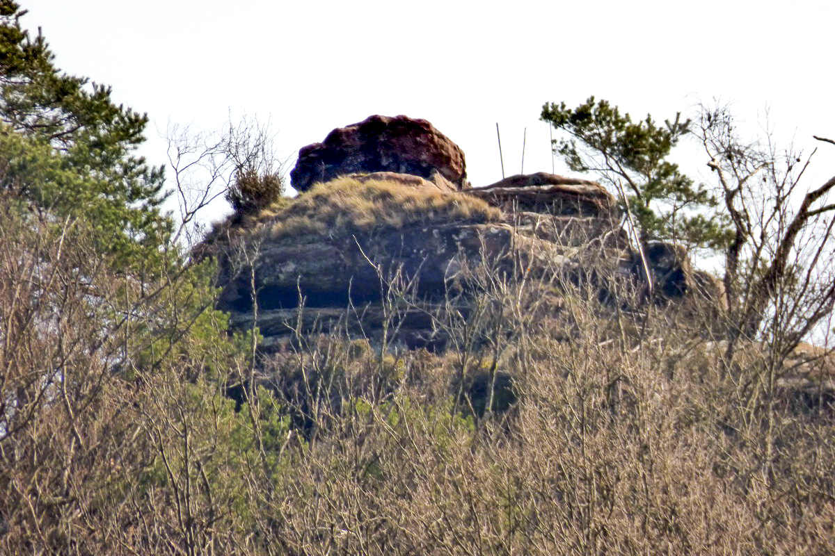 Ligne Maginot - FALKENBERG - (Observatoire d'artillerie) - Vue éloignée du rocher - Alain Perouffe
