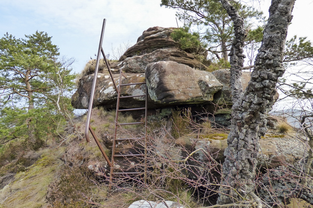 Ligne Maginot - FALKENBERG - (Observatoire d'artillerie) -  - Alain Perouffe