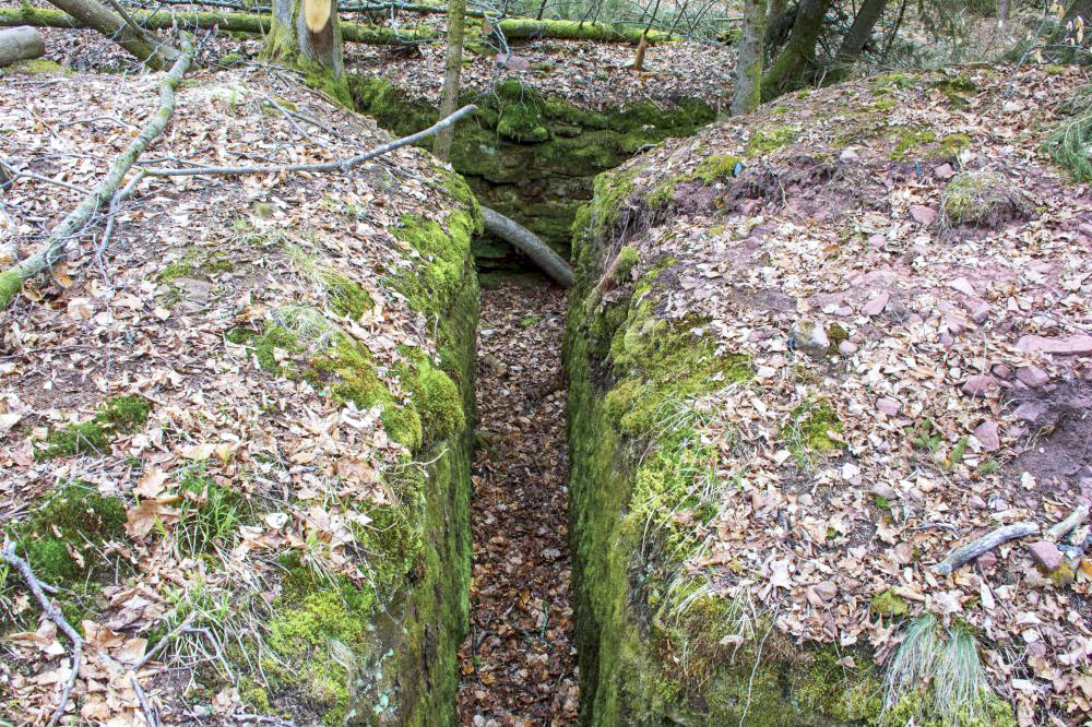 Ligne Maginot - Casemate de Glasbronn - Départ du boyau d'accès depuis la tranchée - Rémy RICHTER