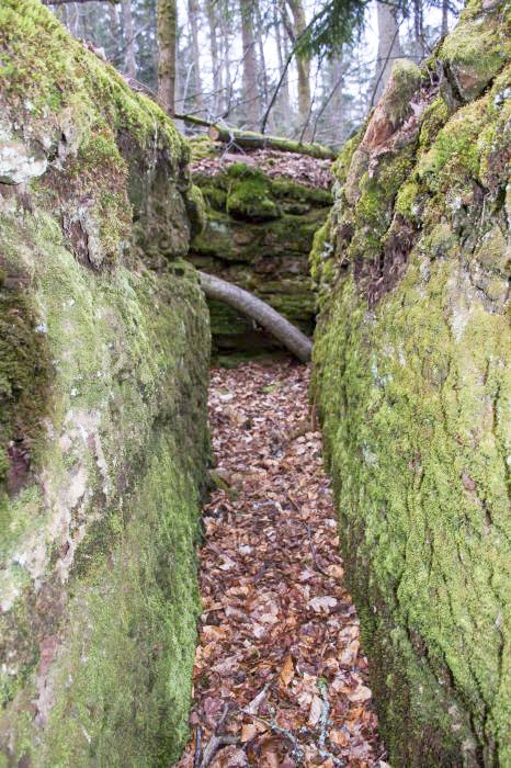 Ligne Maginot - Casemate de Glasbronn - Le boyau d'accès taillée dans le grès - Rémy RICHTER