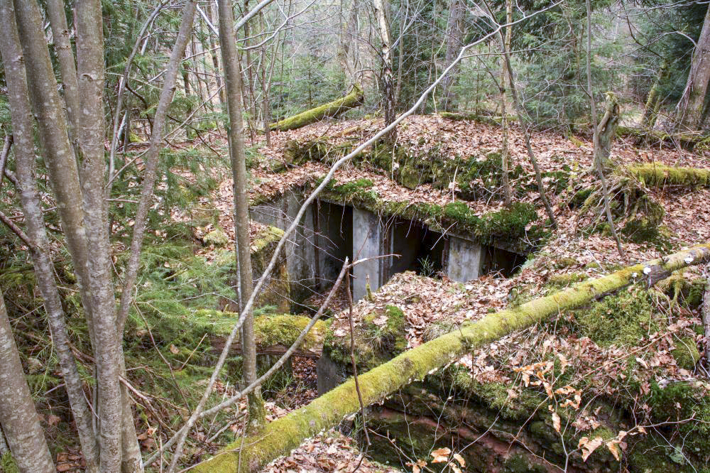 Ligne Maginot - Casemate de Glasbronn - Les niches de stockage pour les barbelés et les mines  - Rémy RICHTER
