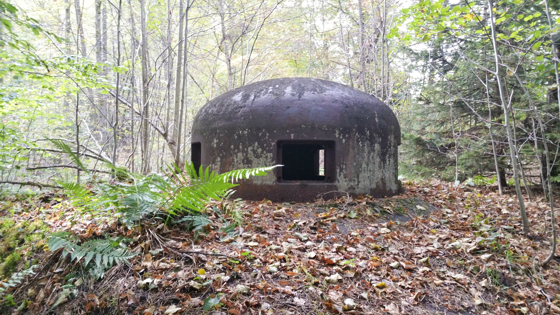 Ligne Maginot - GLASBRONN - (Casemate d'infanterie) - La cloche GFM  - A.F.V.N. Association des Amis de la Fortifications des Vosges du Nord
